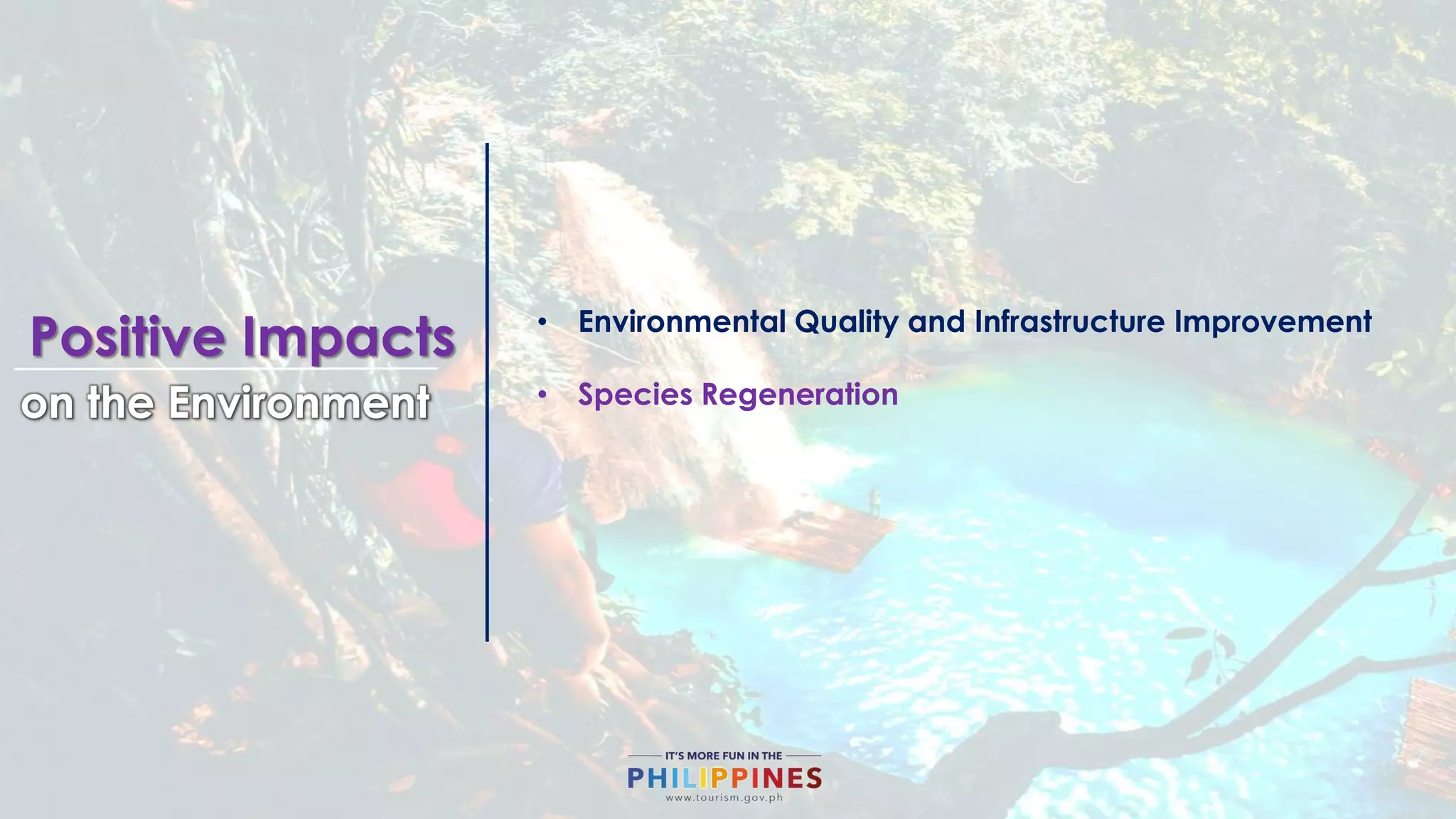 Tourism Impacts on the Environment | PDF