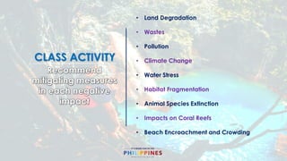 Tourism Impacts on the Environment | PDF