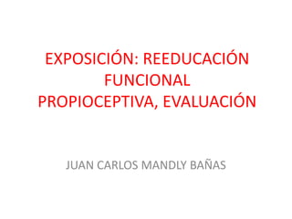 EXPOSICIÓN: REEDUCACIÓN
FUNCIONAL
PROPIOCEPTIVA, EVALUACIÓN

JUAN CARLOS MANDLY BAÑAS

 