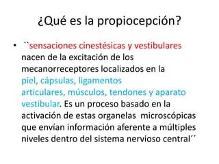 ¿Qué es la propiocepción?
• ``sensaciones cinestésicas y vestibulares
nacen de la excitación de los
mecanorreceptores localizados en la
piel, cápsulas, ligamentos
articulares, músculos, tendones y aparato
vestibular. Es un proceso basado en la
activación de estas organelas microscópicas
que envían información aferente a múltiples
niveles dentro del sistema nervioso central´´

 