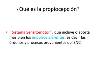 ¿Qué es la propiocepción?

• ``Sistema Sensitomotor´´, que incluye o aporta
más bien los impulsos aferentes, es decir las
órdenes y procesos provenientes del SNC.

 