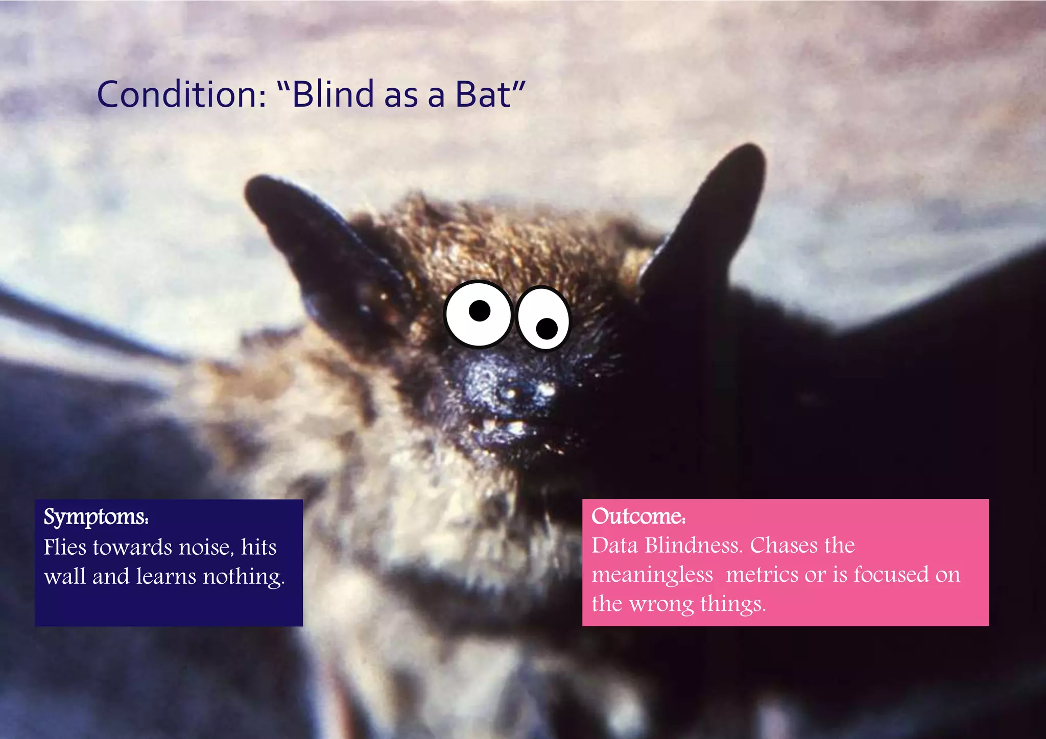 Slide 10
Condition: “Blind as a Bat”
Symptoms:
Flies towards noise, hits
wall and learns nothing.
Outcome:
Data Blindness. Chases the
meaningless metrics or is focused on
the wrong things.
 