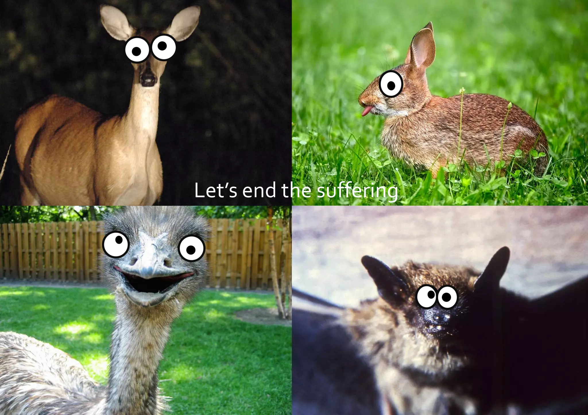 Slide 40
Let’s end the suffering
 