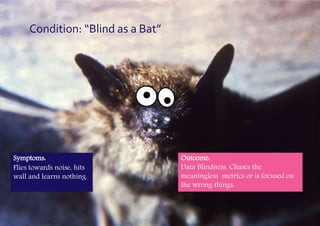 Slide 10
Condition: “Blind as a Bat”
Symptoms:
Flies towards noise, hits
wall and learns nothing.
Outcome:
Data Blindness. Chases the
meaningless metrics or is focused on
the wrong things.
 