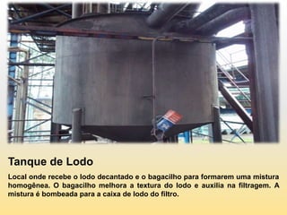 Tanque de Lodo
Local onde recebe o lodo decantado e o bagacilho para formarem uma mistura
homogênea. O bagacilho melhora a textura do lodo e auxilia na filtragem. A
mistura é bombeada para a caixa de lodo do filtro.
 