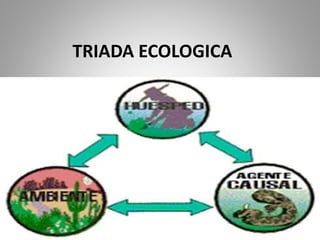 TRIADA ECOLOGICA
 