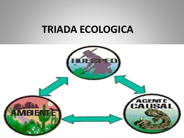 cadena epidemiologica triada ecologica 4 triada ecologica cadena epidemiologica triada ecologica 4 triada ecologica
