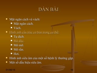 01/06/15 16
DÀN BÀIDÀN BÀI
 Mặt ngăn cách và vách:Mặt ngăn cách và vách:
 Mặt ngăn cách.Mặt ngăn cách.
 Vách.Vách.
 Hình ảnh cấu trúc cơ bản trong cơ thể:Hình ảnh cấu trúc cơ bản trong cơ thể:
 Tụ dịch.Tụ dịch.
 Mô đặc.Mô đặc.
 Mô mỡ.Mô mỡ.
 Mô rắn.Mô rắn.
 Hơi.Hơi.
 Hình ảnh siêu âm của một số bệnh lý thường gặp.Hình ảnh siêu âm của một số bệnh lý thường gặp.
 Một số dấu hiệu siêu âm.Một số dấu hiệu siêu âm.
 