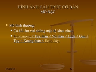 01/06/15 17
HÌNH ẢNH CẤU TRÚC CƠ BẢNHÌNH ẢNH CẤU TRÚC CƠ BẢN
MÔ ĐẶCMÔ ĐẶC
 Mô bình thường:Mô bình thường:
 Có hồi âm với những mật độ khác nhau:Có hồi âm với những mật độ khác nhau:
 Echo mỏngEcho mỏng < Tủy thận < Vỏ thận < Lách < Gan << Tủy thận < Vỏ thận < Lách < Gan <
Tụy < Xoang thận <Tụy < Xoang thận < Echo dầy.Echo dầy.
 