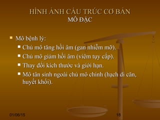 01/06/15 18
HÌNH ẢNH CẤU TRÚC CƠ BẢNHÌNH ẢNH CẤU TRÚC CƠ BẢN
MÔ ĐẶCMÔ ĐẶC
 Mô bệnh lý:Mô bệnh lý:
 Chủ mô tăng hồi âm (gan nhiễm mỡ).Chủ mô tăng hồi âm (gan nhiễm mỡ).
 Chủ mô giảm hồi âm (viêm tụy cấp).Chủ mô giảm hồi âm (viêm tụy cấp).
 Thay đổi kích thước và giới hạn.Thay đổi kích thước và giới hạn.
 Mô tân sinh ngoài chủ mô chính (hạch di căn,Mô tân sinh ngoài chủ mô chính (hạch di căn,
huyết khối).huyết khối).
 