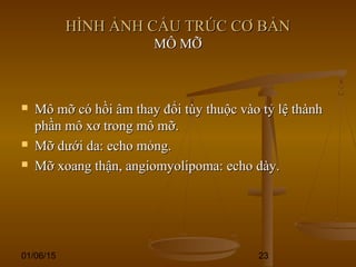 01/06/15 23
HÌNH ẢNH CẤU TRÚC CƠ BẢNHÌNH ẢNH CẤU TRÚC CƠ BẢN
MÔ MỠMÔ MỠ
 Mô mỡ có hồi âm thay đổi tùy thuộc vào tỷ lệ thànhMô mỡ có hồi âm thay đổi tùy thuộc vào tỷ lệ thành
phần mô xơ trong mô mỡ.phần mô xơ trong mô mỡ.
 Mỡ dưới da: echo mỏng.Mỡ dưới da: echo mỏng.
 Mỡ xoang thận, angiomyolipoma: echo dày.Mỡ xoang thận, angiomyolipoma: echo dày.
 