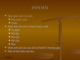 01/06/15 3
DÀN BÀIDÀN BÀI
 Mặt ngăn cách và vách:Mặt ngăn cách và vách:
 Mặt ngăn cách.Mặt ngăn cách.
 Vách.Vách.
 Hình ảnh cấu trúc cơ bản trong cơ thể:Hình ảnh cấu trúc cơ bản trong cơ thể:
 Tụ dịch.Tụ dịch.
 Mô đặc.Mô đặc.
 Mô mỡ.Mô mỡ.
 Mô rắn.Mô rắn.
 Hơi.Hơi.
 Hình ảnh siêu âm của một số bệnh lý thường gặp.Hình ảnh siêu âm của một số bệnh lý thường gặp.
 Một số dấu hiệu siêu âm.Một số dấu hiệu siêu âm.
 