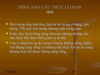 01/06/15 30
HÌNH ẢNH CẤU TRÚC CƠ BẢNHÌNH ẢNH CẤU TRÚC CƠ BẢN
HƠIHƠI
 Hơi trong ống tiêu hóa, hơi tự do trong ổ bụng, hơiHơi trong ống tiêu hóa, hơi tự do trong ổ bụng, hơi
trong TM cửa, hơi trong đường mật trong gan.trong TM cửa, hơi trong đường mật trong gan.
 Echo dày kèm bóng lưng như sỏi nhưng không sắcEcho dày kèm bóng lưng như sỏi nhưng không sắc
nét, thay đổi theo thời gian và tư thế.nét, thay đổi theo thời gian và tư thế.
 Lưu ý rằng hơi tự do trong ổ bụng không đồng nghĩaLưu ý rằng hơi tự do trong ổ bụng không đồng nghĩa
với thủng tạng rỗng và không tìm thấy hơi tự do cũngvới thủng tạng rỗng và không tìm thấy hơi tự do cũng
không loại trừ được thủng tạng rỗng.không loại trừ được thủng tạng rỗng.
 