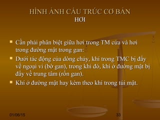 01/06/15 33
HÌNH ẢNH CẤU TRÚC CƠ BẢNHÌNH ẢNH CẤU TRÚC CƠ BẢN
HƠIHƠI
 Cần phải phân biệt giữa hơi trong TM cửa và hơiCần phải phân biệt giữa hơi trong TM cửa và hơi
trong đường mật trong gan:trong đường mật trong gan:
 Dưới tác động của dòng chảy, khí trong TMC bị đẩyDưới tác động của dòng chảy, khí trong TMC bị đẩy
về ngoại vi (bờ gan), trong khi đó, khí ở đường mật bịvề ngoại vi (bờ gan), trong khi đó, khí ở đường mật bị
đẩy về trung tâm (rốn gan).đẩy về trung tâm (rốn gan).
 Khí ở đường mật hay kèm theo khí trong túi mật.Khí ở đường mật hay kèm theo khí trong túi mật.
 