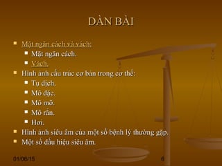 01/06/15 6
DÀN BÀIDÀN BÀI
 Mặt ngăn cách và vách:Mặt ngăn cách và vách:
 Mặt ngăn cách.Mặt ngăn cách.
 Vách.Vách.
 Hình ảnh cấu trúc cơ bản trong cơ thể:Hình ảnh cấu trúc cơ bản trong cơ thể:
 Tụ dịch.Tụ dịch.
 Mô đặc.Mô đặc.
 Mô mỡ.Mô mỡ.
 Mô rắn.Mô rắn.
 Hơi.Hơi.
 Hình ảnh siêu âm của một số bệnh lý thường gặp.Hình ảnh siêu âm của một số bệnh lý thường gặp.
 Một số dấu hiệu siêu âm.Một số dấu hiệu siêu âm.
 