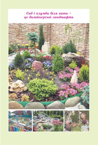 Сад і клумби біля хати -
це дизайнерські ландшафти
 