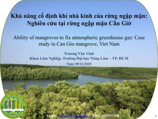 Khả năng cố định khí nhà kính của rừng ngập mặn:
Nghiên cứu tại rừng ngập mặn Cần Giờ
Ability of mangroves to fix atmospheric greenhouse gaz: Case
study in Can Gio mangrove, Viet Nam
Trương Văn Vinh
Khoa Lâm Nghiệp, Trường Đại học Nông Lâm – TP. HCM
1
Ngày 09/11/2020
Email: tvvinh@hcmuaf.edu.vn; ĐT: 0989352208
 