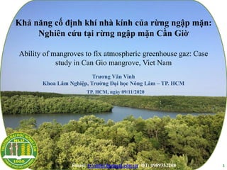 Khả năng cố định khí nhà kính của rừng ngập mặn:
Nghiên cứu tại rừng ngập mặn Cần Giờ
Ability of mangroves to fix atmospheric greenhouse gaz: Case
study in Can Gio mangrove, Viet Nam
Trương Văn Vinh
Khoa Lâm Nghiệp, Trường Đại học Nông Lâm – TP. HCM
1
TP. HCM, ngày 09/11/2020
Email: tvvinh@hcmuaf.edu.vn; ĐT: 0989352208
 