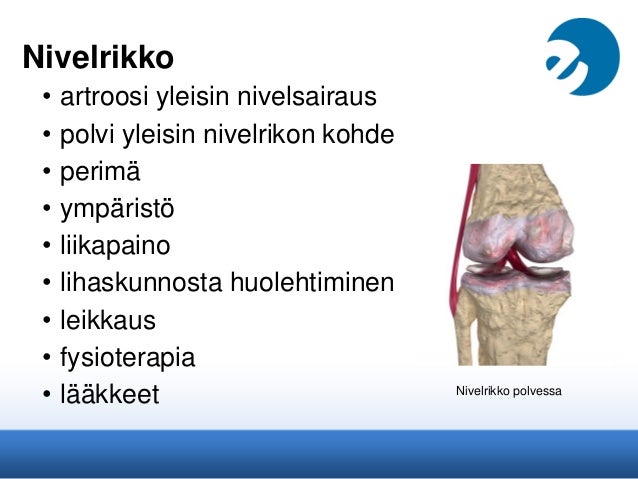 pumies gay lyhty jyväskylä jyväskylä seksi pumies gay lyhty jyväskylä jyväskylä seksi
