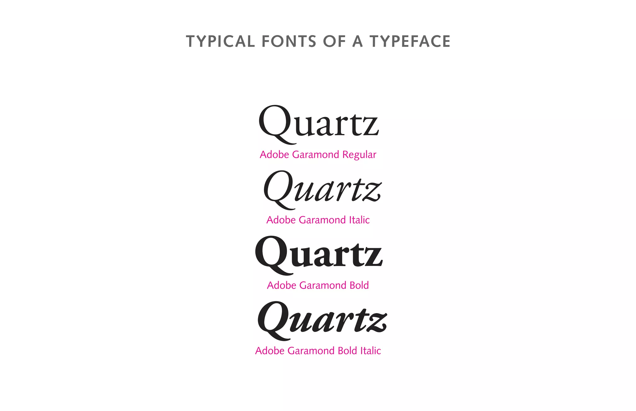 typical fonts of a typeface
Quartz
Adobe Garamond Regular
Quartz
Adobe Garamond Italic
Quartz
Adobe Garamond Bold
Quartz
Adobe Garamond Bold Italic
 