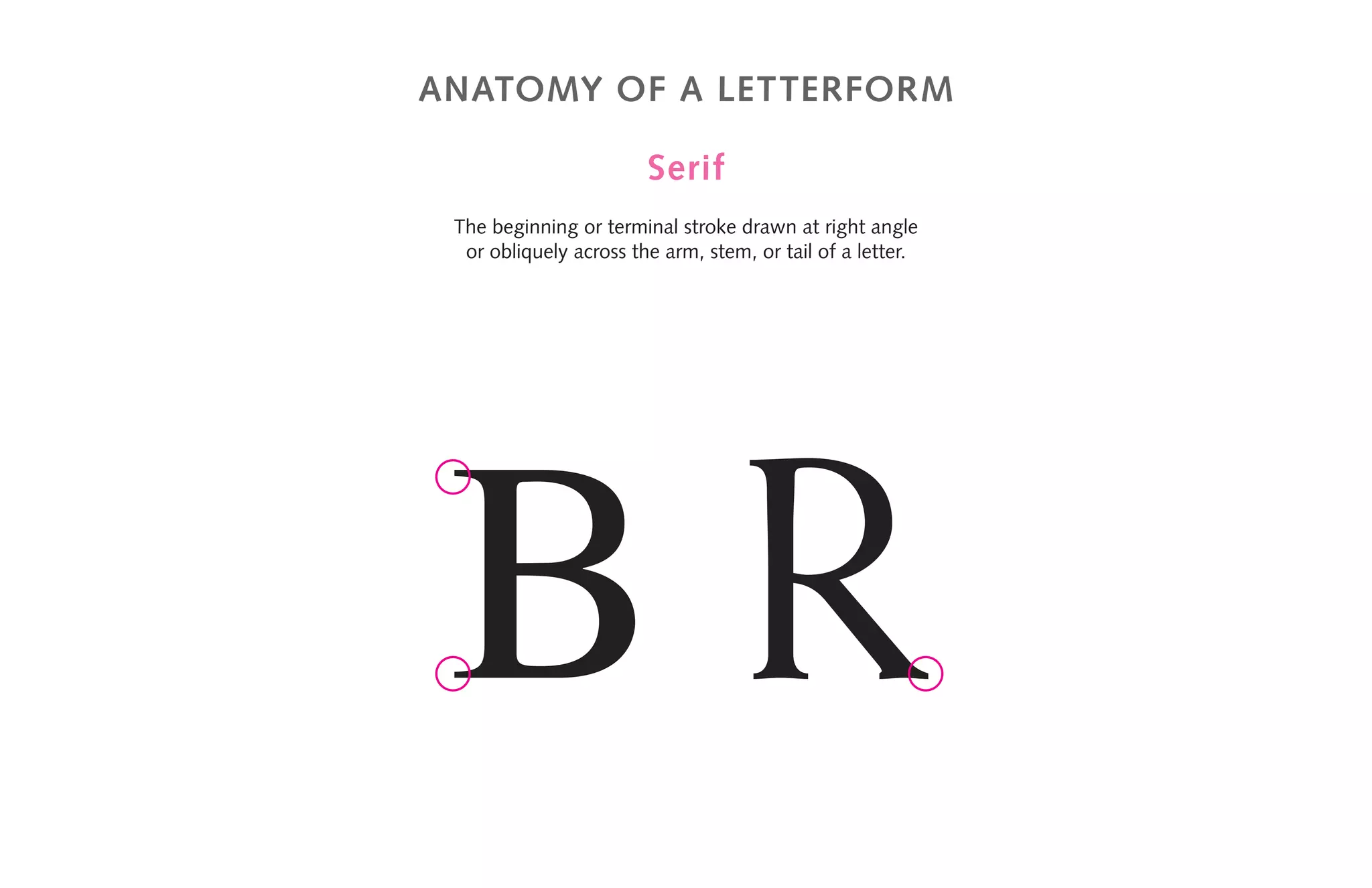 anatomy of a letterform
Serif
The beginning or terminal stroke drawn at right angle
or obliquely across the arm, stem, or tail of a letter.
B R
 
