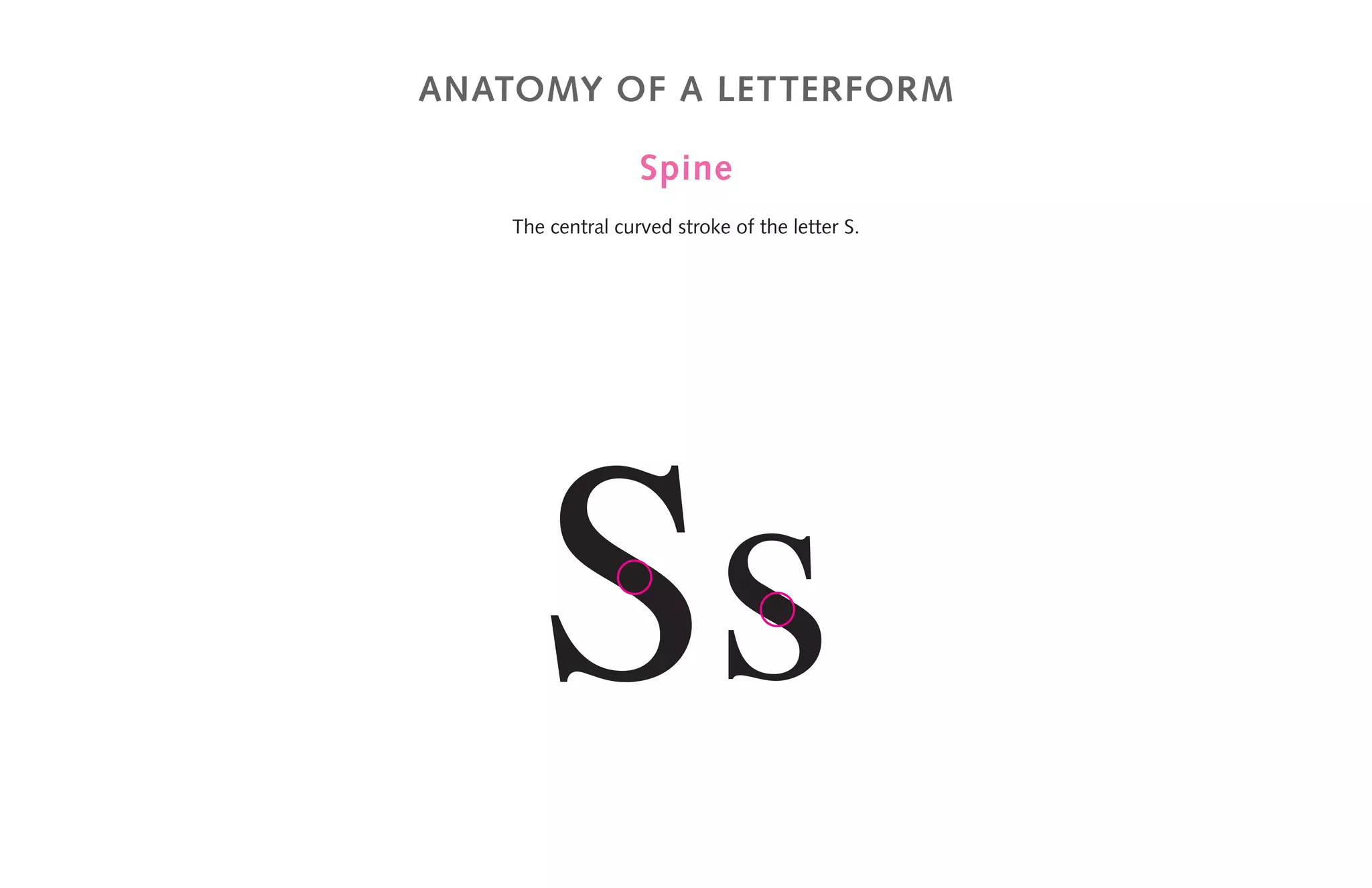 anatomy of a letterform
Spine
The central curved stroke of the letter S.
Ss
 