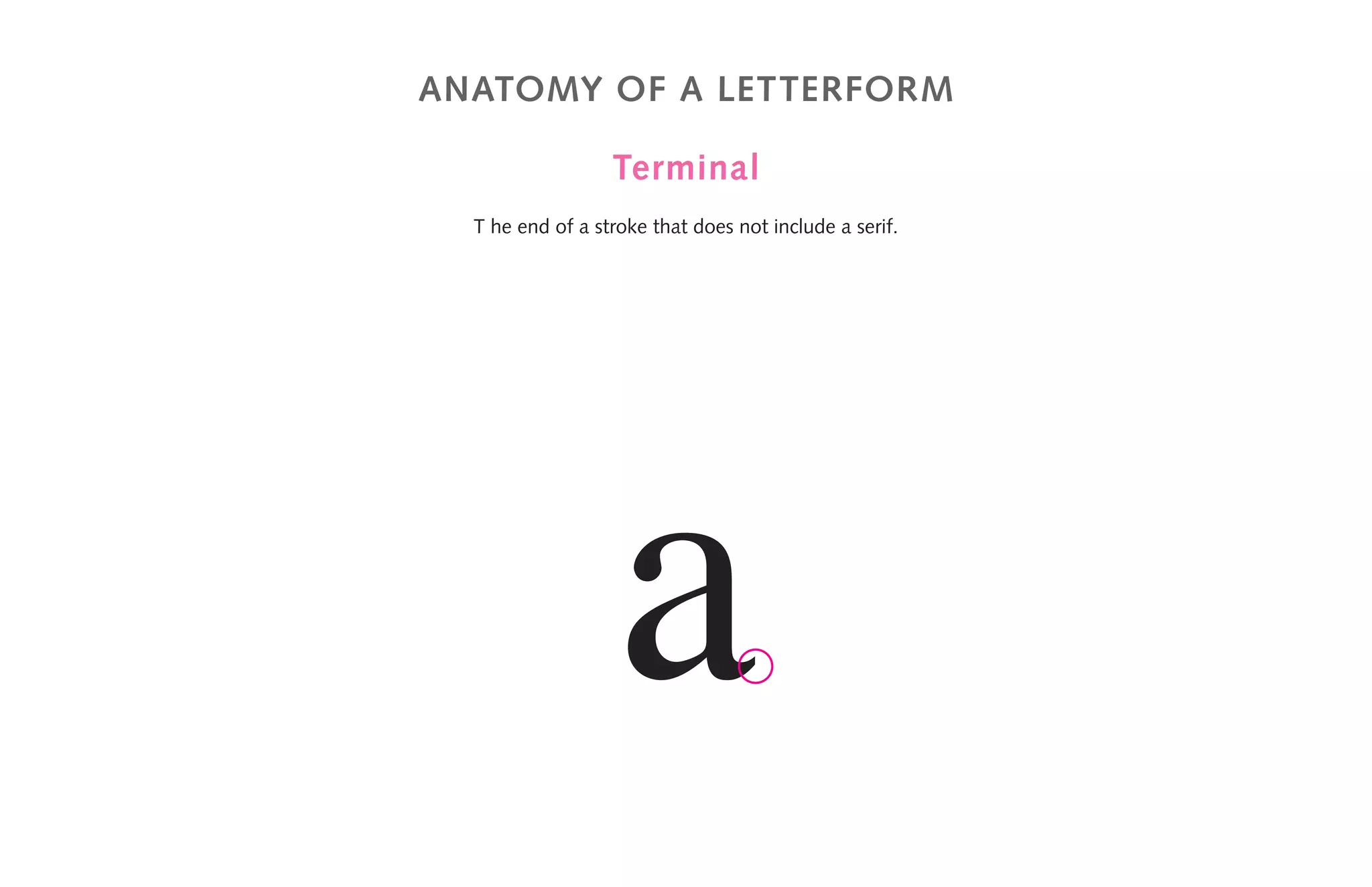 anatomy of a letterform
Terminal
T he end of a stroke that does not include a serif.
a
 