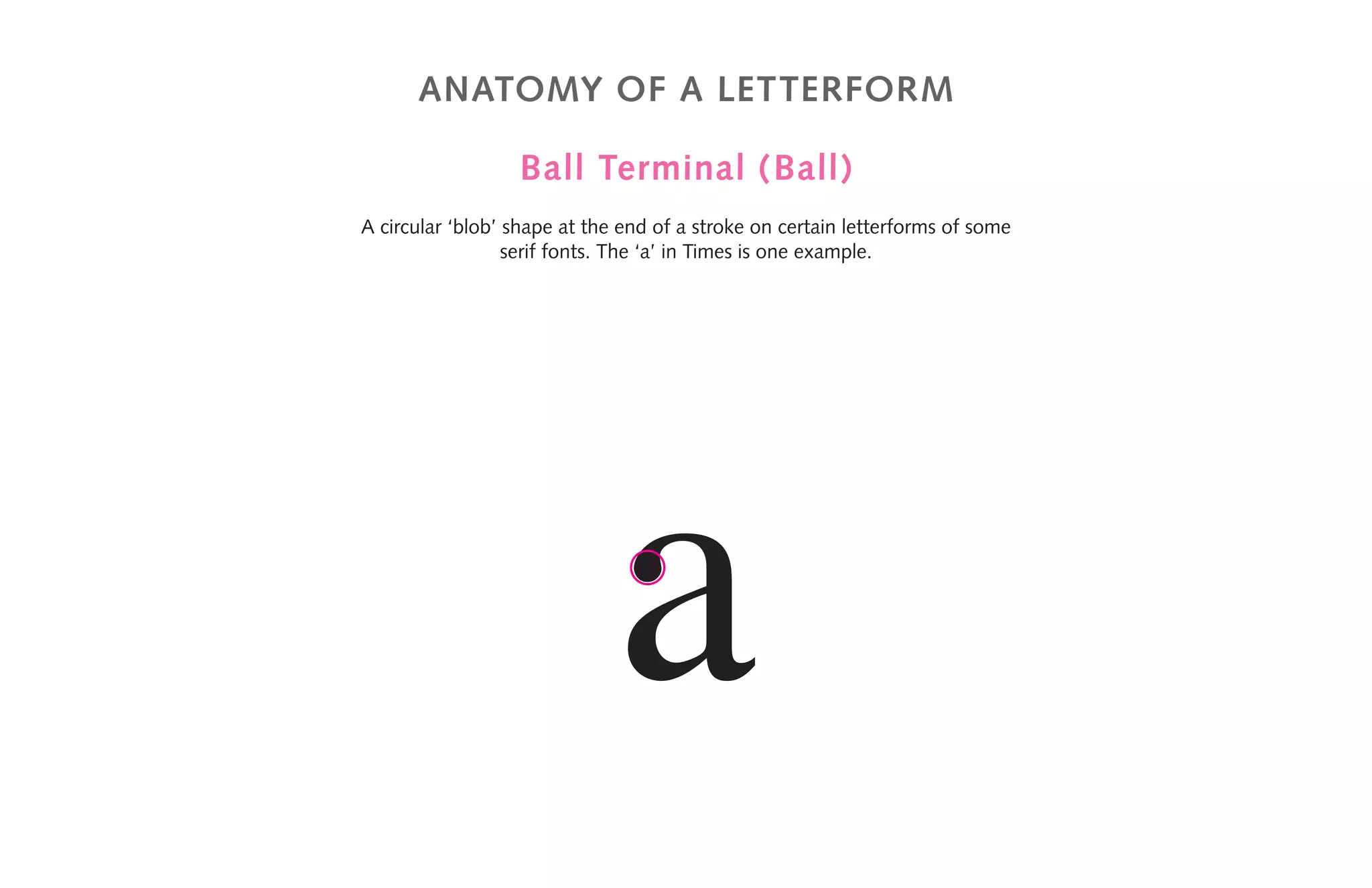 anatomy of a letterform
Ball Terminal (Ball)
A circular ‘blob’ shape at the end of a stroke on certain letterforms of some
serif fonts. The ‘a’ in Times is one example.
a
 