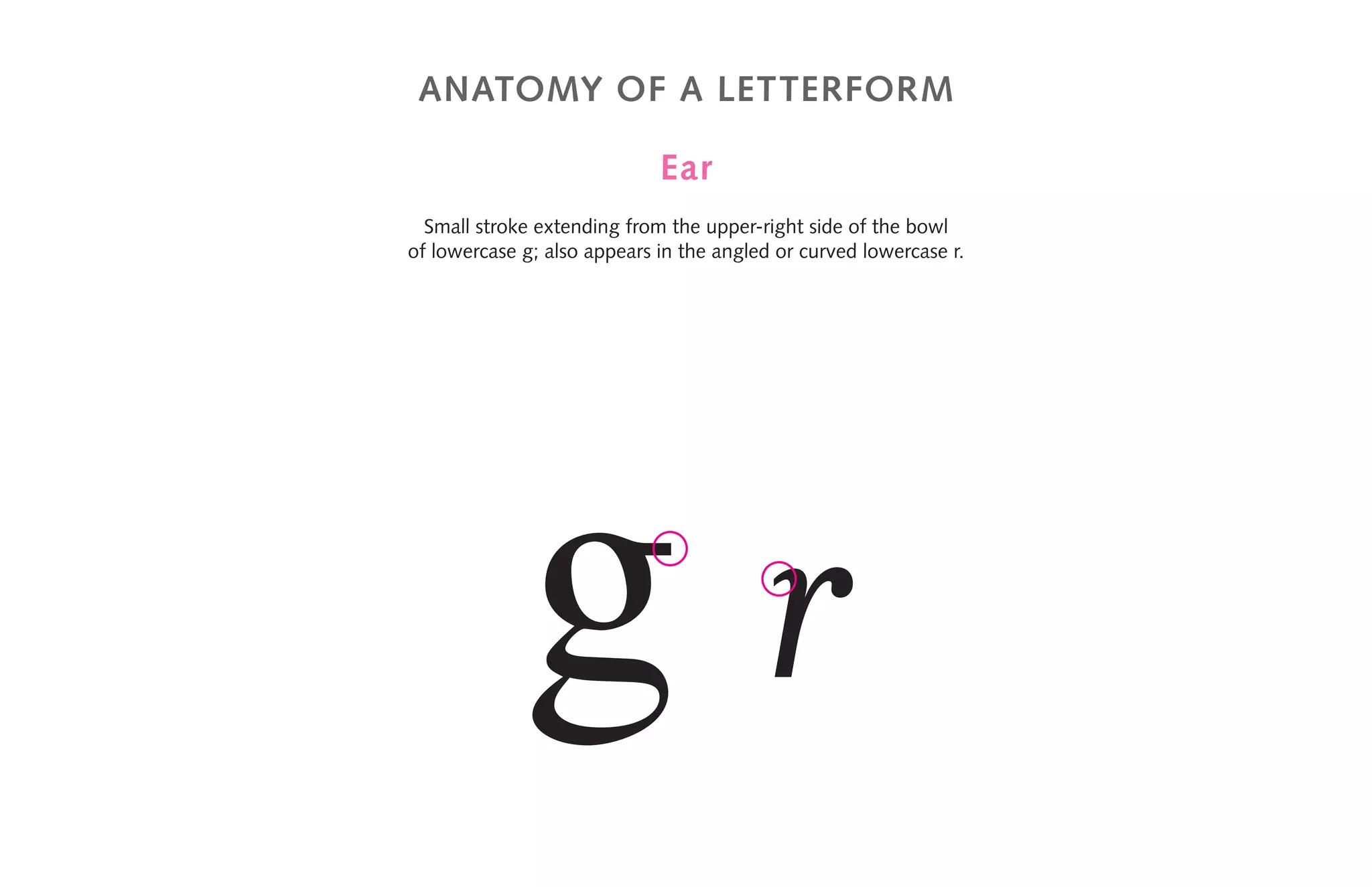 anatomy of a letterform
Ear
Small stroke extending from the upper-right side of the bowl
of lowercase g; also appears in the angled or curved lowercase r.
g r
 