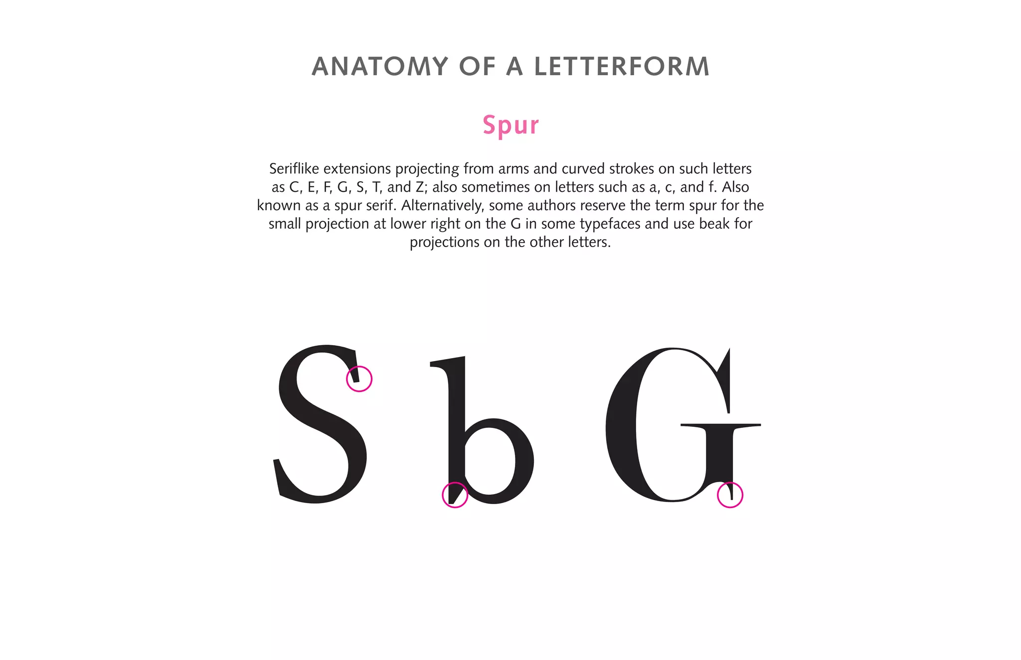 anatomy of a letterform
Spur
Seriflike extensions projecting from arms and curved strokes on such letters
as C, E, F, G, S, T, and Z; also sometimes on letters such as a, c, and f. Also
known as a spur serif. Alternatively, some authors reserve the term spur for the
small projection at lower right on the G in some typefaces and use beak for
projections on the other letters.
S b G
 