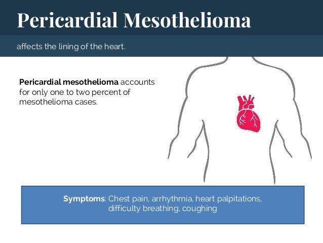 causes of mesothelioma in dogs
