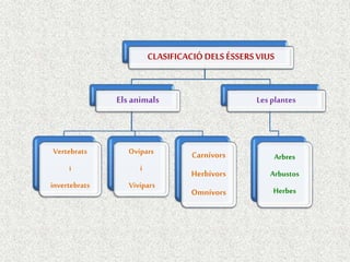 CLASIFICACIÓDELS ÉSSERSVIUS
Els animals
Vertebrats
i
invertebrats
Ovípars
i
Vivípars
Carnívors
Herbívors
Omnívors
Les plantes
Arbres
Arbustos
Herbes
 
