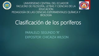 UNIVERSIDAD CENTRAL DEL ECUADOR
FACULTAD DE FILOSOFÍA, LETRAS Y CIENCIAS DE LA
EDUCACIÓN
PEDAGOGÍA DE LAS CIENCIAS EXPERIMENTALES QUÍMICA Y
BIOLOGÍA
PARALELO: SEGUNDO “A”
EXPOSITOR: CHICAIZA WILSON
Clasificación de los poríferos
 