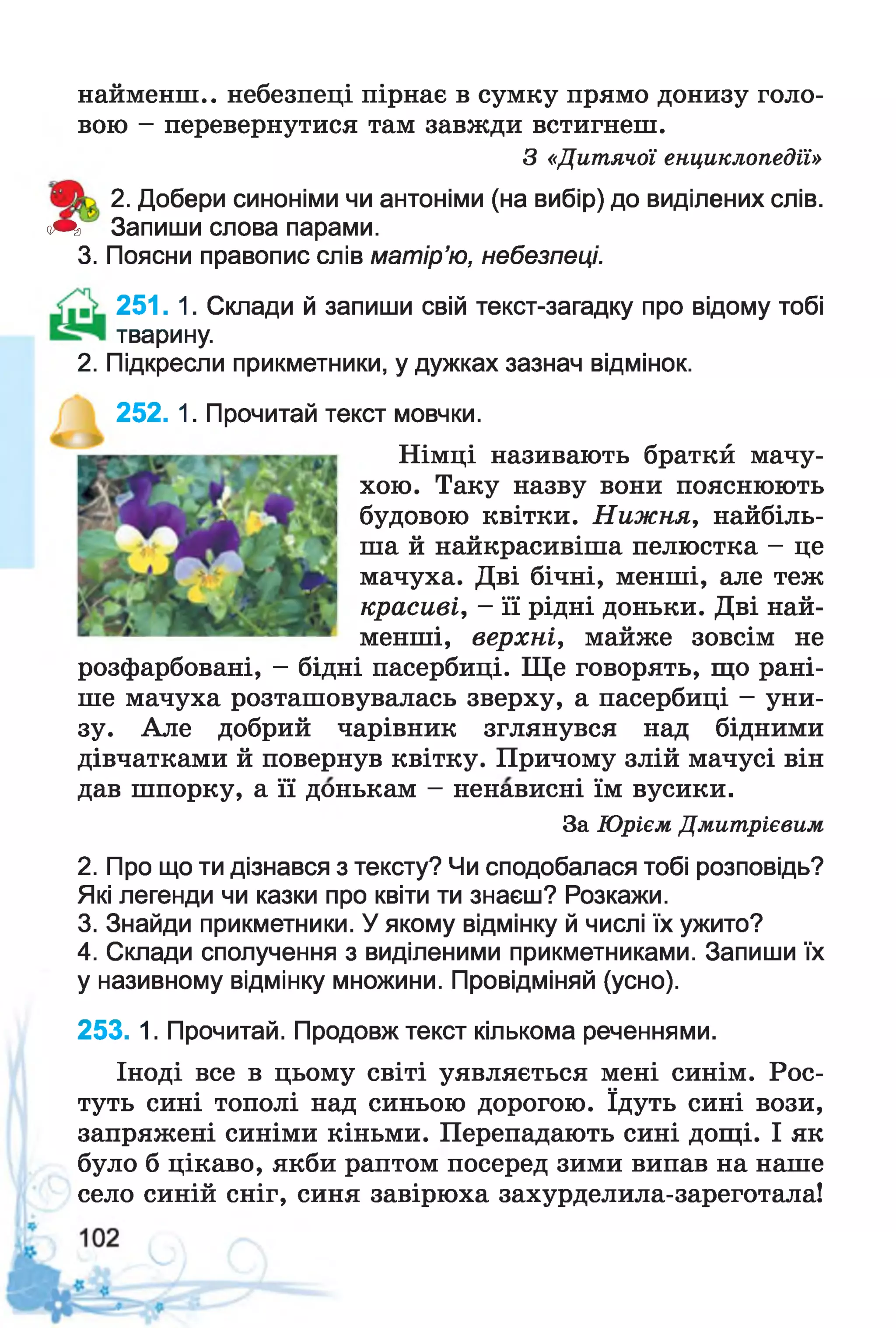 найменш., небезпеці пірнає в сумку прямо донизу голо­
вою - перевернутися там завжди встигнеш.
З «Дитячої енциклопедії»
2. Добери синоніми чи антоніми (на вибір) до виділених слів.
чЩ> Запиши слова парами.
3. Поясни правопис слів матір’ю, небезпеці.
251. 1. Склади й запиши свій текст-загадку про відому тобі
тварину.
2. Підкресли прикметники, у дужках зазнач відмінок.
252. 1. Прочитай текст мовчки.
Німці називають браткй мачу­
хою. Таку назву вони пояснюють
будовою квітки. Нижня, найбіль­
ша й найкрасивіша пелюстка - це
мачуха. Дві бічні, менші, але теж
красиві, - її рідні доньки. Дві най­
менші, верхні, майже зовсім не
розфарбовані, - бідні пасербиці. Ще говорять, що рані­
ше мачуха розташовувалась зверху, а пасербиці - уни­
зу. Але добрий чарівник зглянувся над бідними
дівчатками й повернув квітку. Причому злій мачусі він
дав шпорку, а її донькам - ненависні їм вусики.
За Юрієм Дмитрієвим
2. Про що ти дізнався з тексту? Чи сподобалася тобі розповідь?
Які легенди чи казки про квіти ти знаєш? Розкажи.
3. Знайди прикметники. У якому відмінку й числі їх ужито?
4. Склади сполучення з виділеними прикметниками. Запиши їх
у називному відмінку множини. Провідміняй (усно).
253. 1. Прочитай. Продовж текст кількома реченнями.
Іноді все в цьому світі уявляється мені синім. Рос­
туть сині тополі над синьою дорогою. їдуть сині вози,
запряжені синіми кіньми. Перепадають сині дощі. І як
було б цікаво, якби раптом посеред зими випав на наше
село синій сніг, синя завірюха захурделила-зареготала!
 