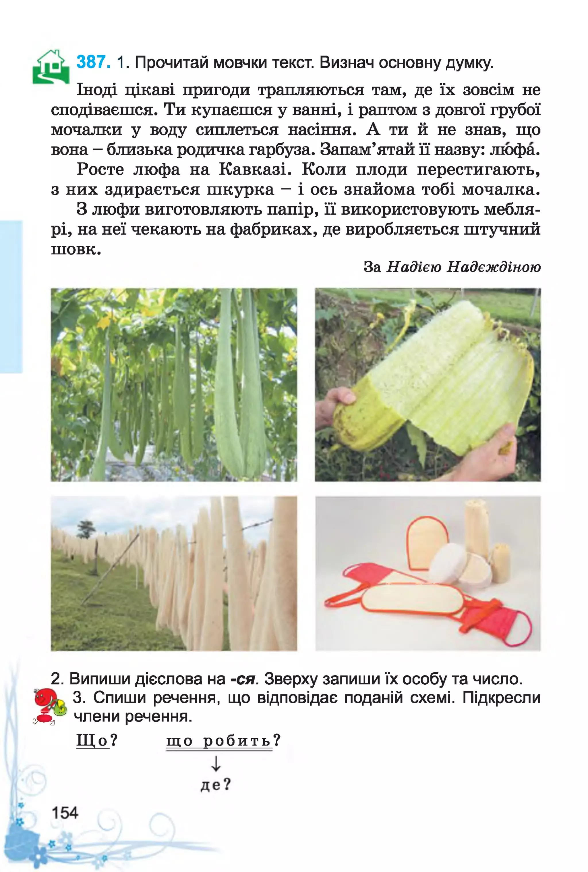 Іноді цікаві пригоди трапляються там, де їх зовсім не
сподіваєшся. Ти купаєшся у ванні, і раптом з довгої грубої
мочалки у воду сиплеться насіння. А ти й не знав, що
вона - близька родичка гарбуза. Запам’ятай її назву: люфа.
Росте люфа на Кавказі. Коли плоди перестигають,
з них здирається шкурка - і ось знайома тобі мочалка.
З люфи виготовляють папір, її використовують мебля­
рі, на неї чекають на фабриках, де виробляється штучний
шовк.
За Надією Надєждіною
387. 1. Прочитай мовчки текст. Визнач основну думку.
2. Випиши дієслова на -ся. Зверху запиши їх особу та число.
3. Спиши речення, що відповідає поданій схемі. Підкресли
< 0 ^ члени речення.
Щ о ? щ о р о б и т ь ?
 