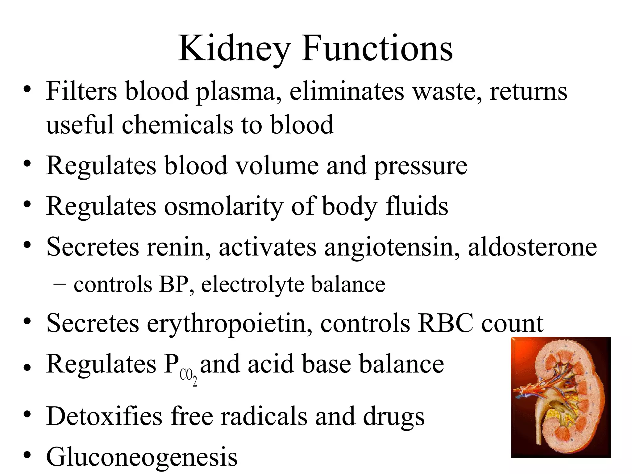 Kidney Functions
• Filters blood plasma, eliminates waste, returns
useful chemicals to blood
• Regulates blood volume and pressure
• Regulates osmolarity of body fluids
• Secretes renin, activates angiotensin, aldosterone
– controls BP, electrolyte balance
• Secretes erythropoietin, controls RBC count
• Regulates PCO2
and acid base balance
• Detoxifies free radicals and drugs
• Gluconeogenesis
 
