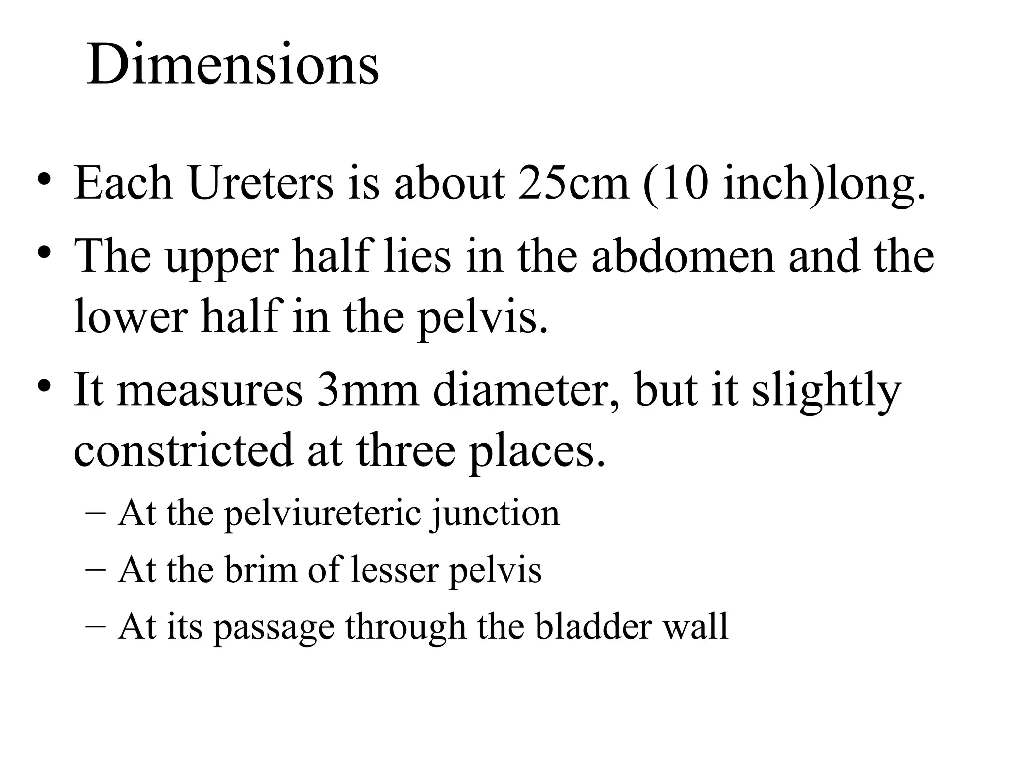Dimensions
• Each Ureters is about 25cm (10 inch)long.
• The upper half lies in the abdomen and the
lower half in the pelvis.
• It measures 3mm diameter, but it slightly
constricted at three places.
– At the pelviureteric junction
– At the brim of lesser pelvis
– At its passage through the bladder wall
 