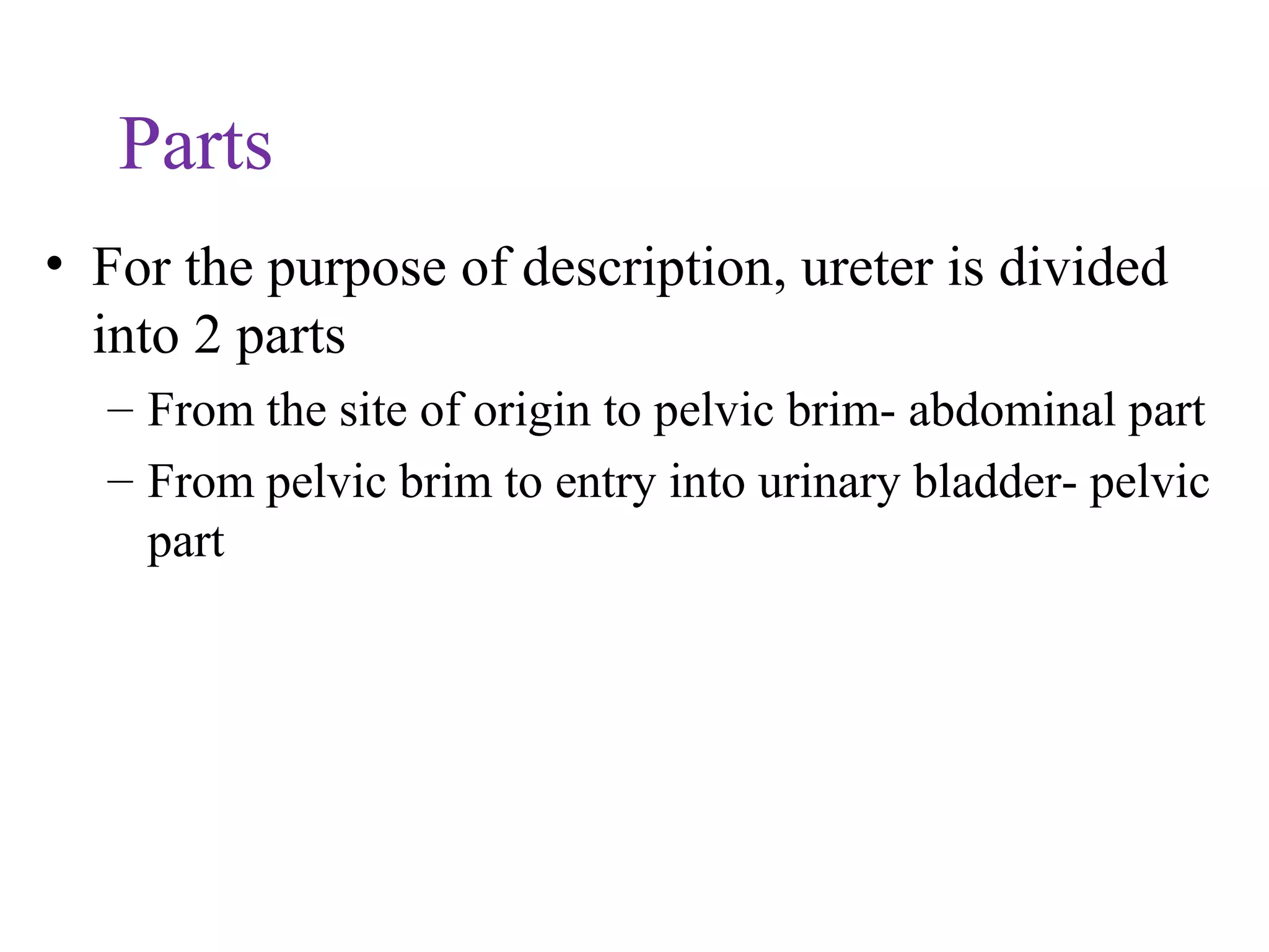 Parts
• For the purpose of description, ureter is divided
into 2 parts
– From the site of origin to pelvic brim- abdominal part
– From pelvic brim to entry into urinary bladder- pelvic
part
 