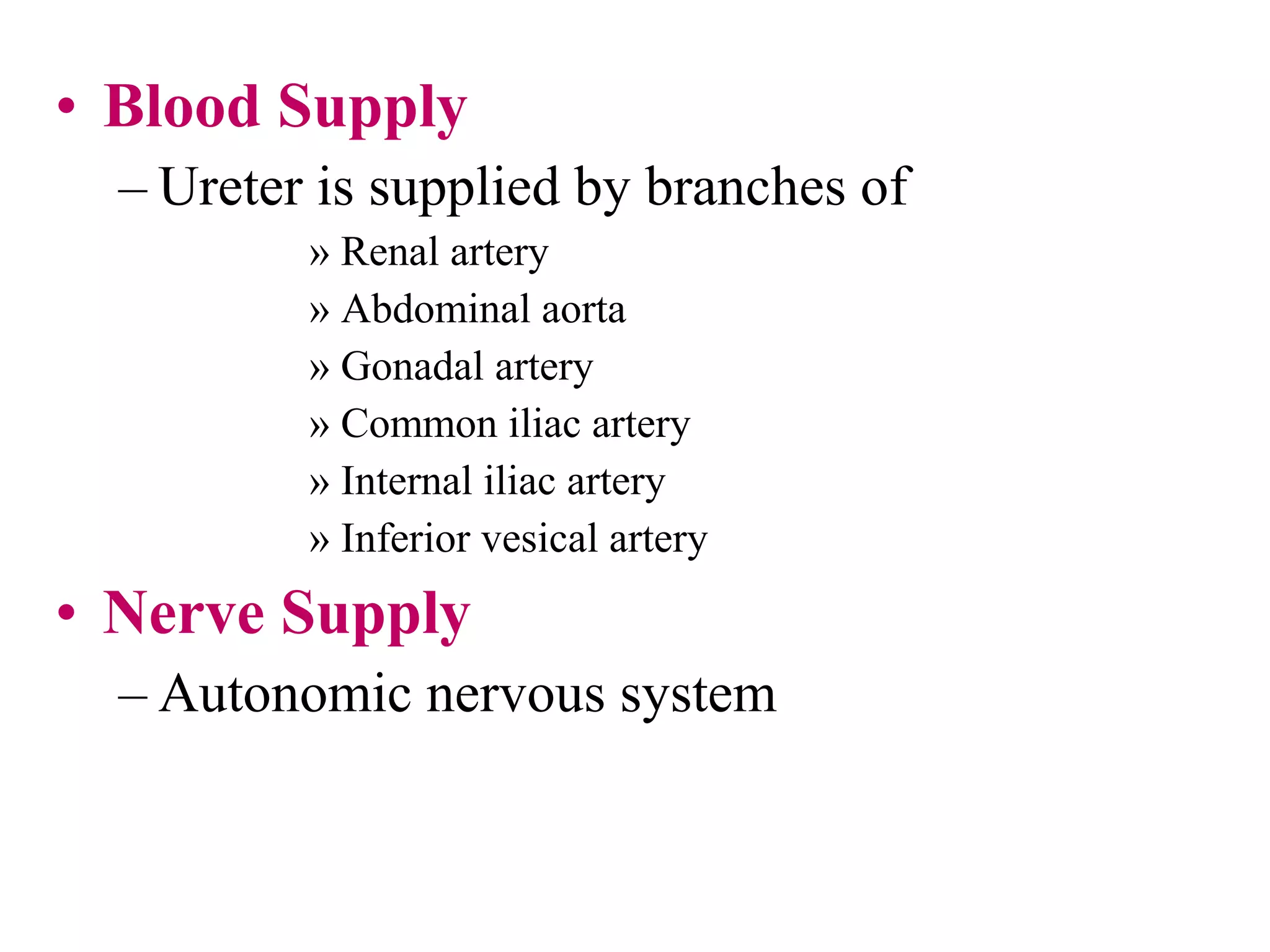• Blood Supply
– Ureter is supplied by branches of
» Renal artery
» Abdominal aorta
» Gonadal artery
» Common iliac artery
» Internal iliac artery
» Inferior vesical artery
• Nerve Supply
– Autonomic nervous system
 