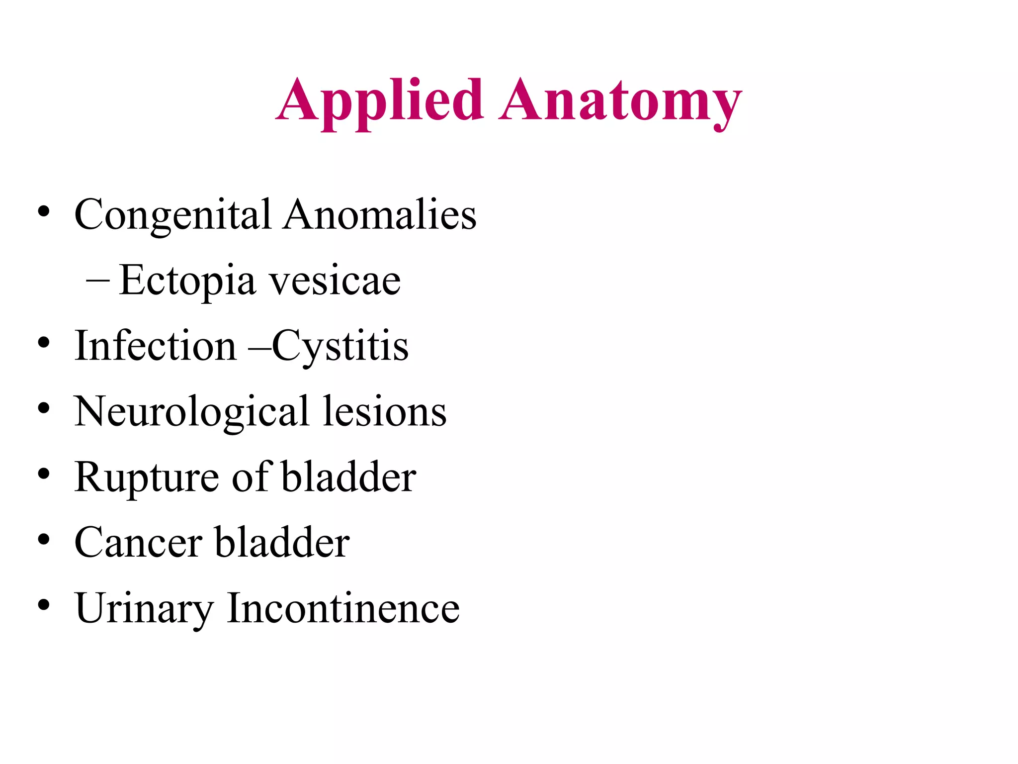 Applied Anatomy
• Congenital Anomalies
– Ectopia vesicae
• Infection –Cystitis
• Neurological lesions
• Rupture of bladder
• Cancer bladder
• Urinary Incontinence
 