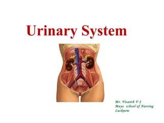 Urinary System
Mr. Visanth V S
Mayo school of Nursing
Lucknow
 