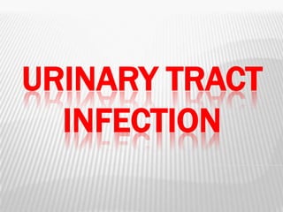 URINARY TRACT
INFECTION
 