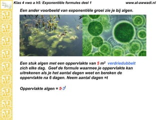 Klas 4 vwo a h5: Exponentiële formules deel 1

www.al-awwadi.nl

Een ander voorbeeld van exponentiële groei zie je bij algen.

Een stuk algen met een oppervlakte van 5 m2 verdriedubbelt
zich elke dag. Geef de formule waarmee je oppervlakte kan
uitrekenen als je het aantal dagen weet en bereken de
oppervlakte na 6 dagen. Neem aantal dagen =t
Oppervlakte algen = 5·3t

 