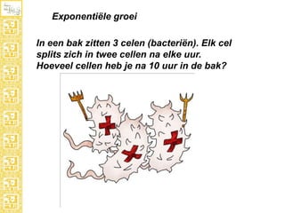 Exponentiële groei
In een bak zitten 3 celen (bacteriën). Elk cel
splits zich in twee cellen na elke uur.
Hoeveel cellen heb je na 10 uur in de bak?

 