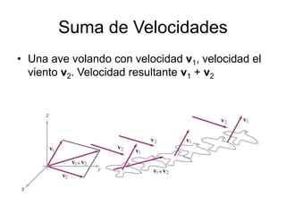 Suma de Velocidades
• Una ave volando con velocidad v1, velocidad el
viento v2. Velocidad resultante v1 + v2
 
