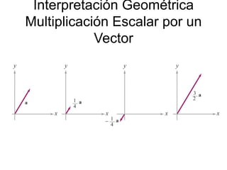 Interpretación Geométrica
Multiplicación Escalar por un
Vector
 