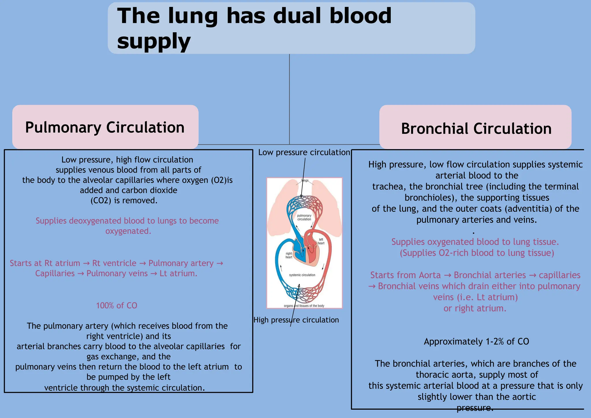 4) Ventilation, perfusion, ratio (1).pptx