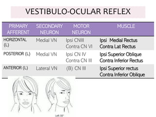 PRIMARY
AFFERENT
SECONDARY
NEURON
MOTOR
NEURON
MUSCLE
HORIZONTAL
(L)
Medial VN Ipsi CNIII
Contra CN VI
Ipsi Medial Rectus
Contra Lat Rectus
POSTERIOR (L) Medial VN Ipsi CN IV
Contra CN III
Ipsi Superior Oblique
Contra Inferior Rectus
ANTERIOR (L) Lateral VN (B) CN III Ipsi Superior rectus
Contra Inferior Oblique
VESTIBULO-OCULAR REFLEX
 