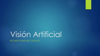 Visión Artificial
RICARDO SÁNCHEZ CASTILLO
 