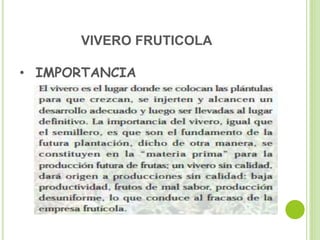VIVERO FRUTICOLA
• IMPORTANCIA
 